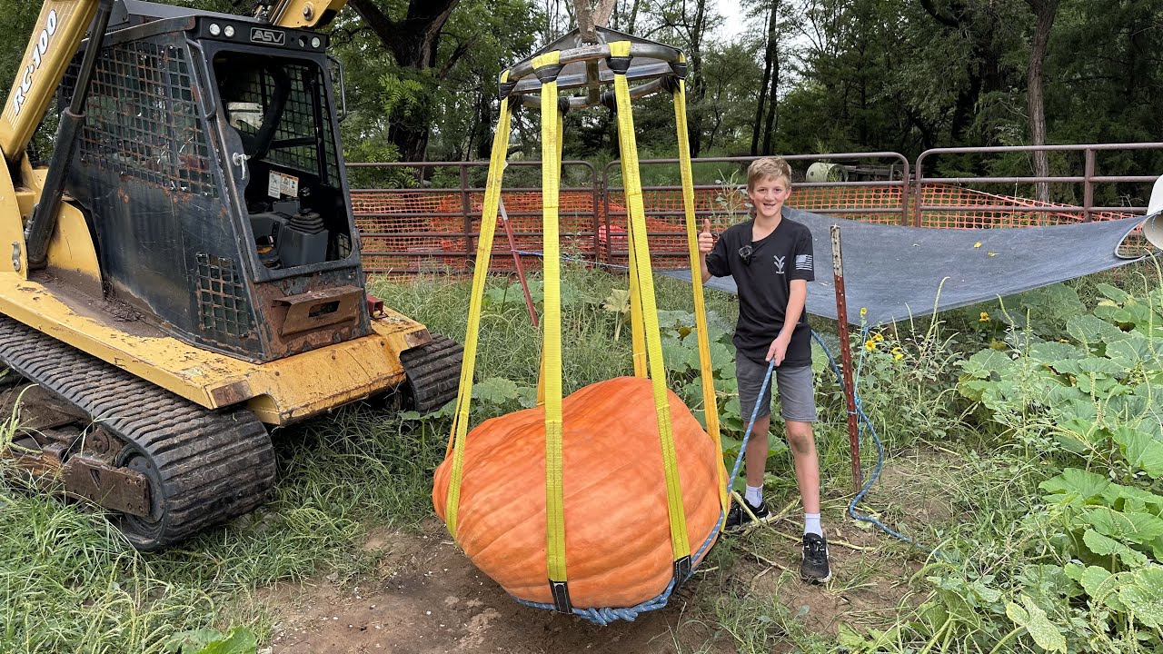 Harvesting my GIANT Pumpkin!!!