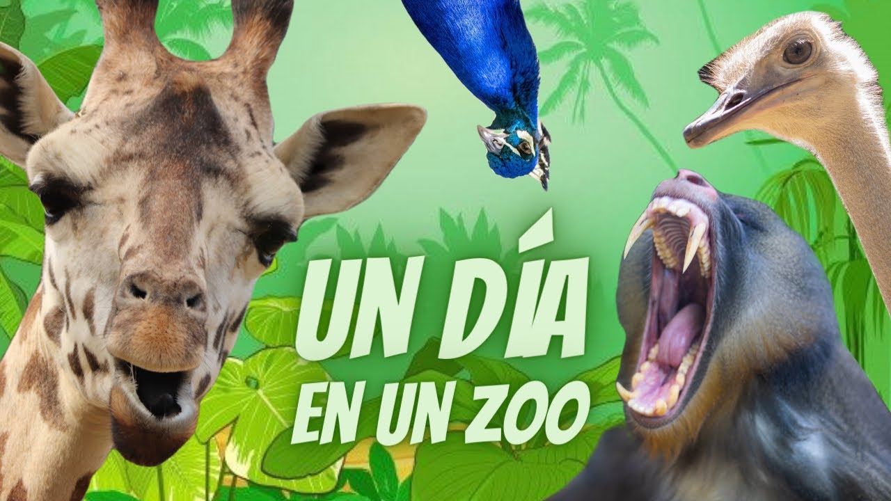 Así protegen a los animales MÁS INCREÍBLES en peligro de extinción | Zoo Botánico Jerez 2021
