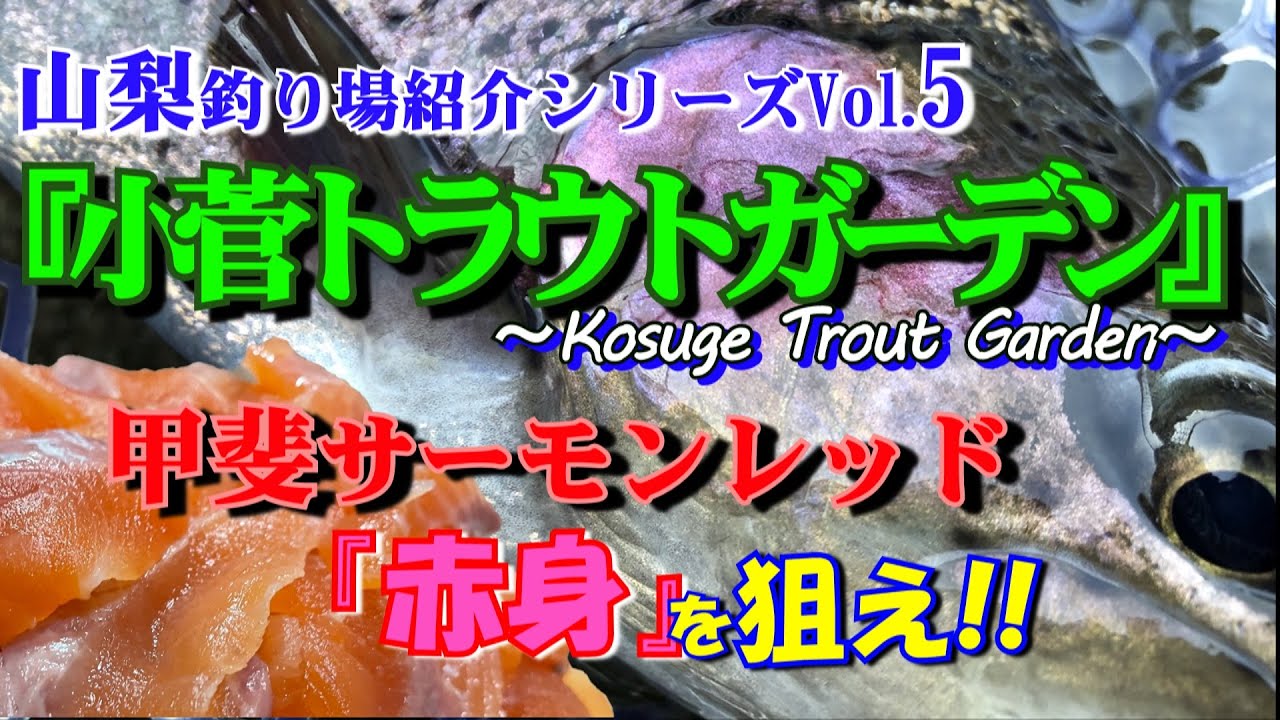山梨釣り場紹介Vol.5 『小菅トラウトガーデン』