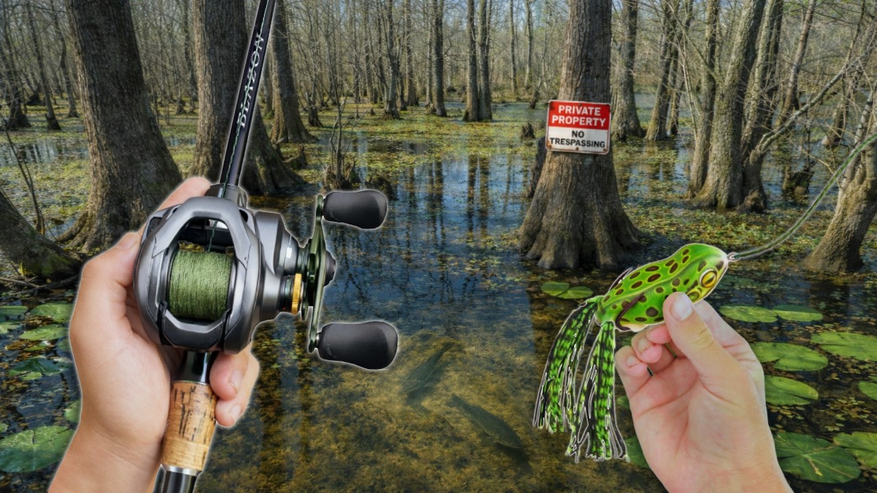 Fishing SWAMPY Ponds LOADED With FISH! (New Ponds)
