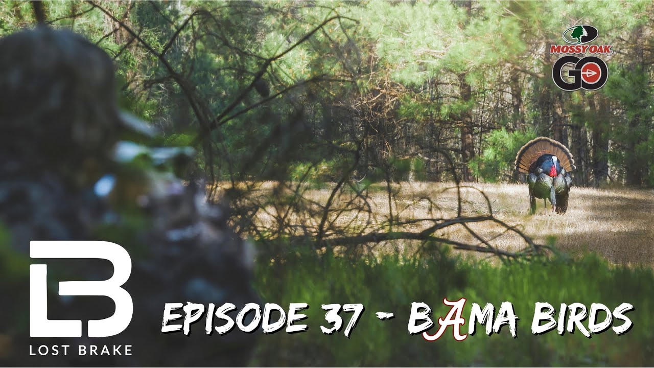 Turkey Hunting the Alabama Opener - Epic - 37 - Bama Birds