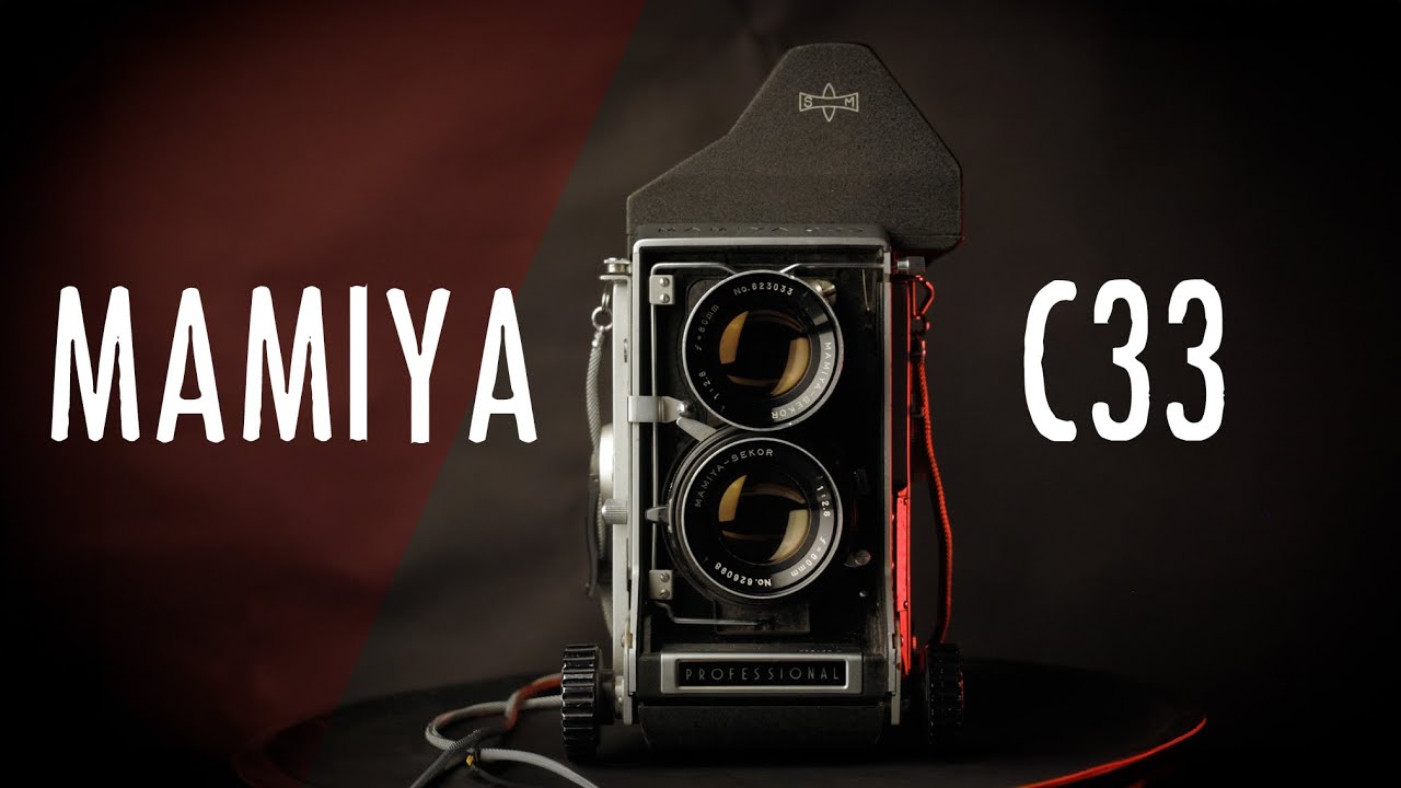 Камера Mamiya C33 TLR, просроченная плёнка Ilford FP4, маяки и морские котики на мысе