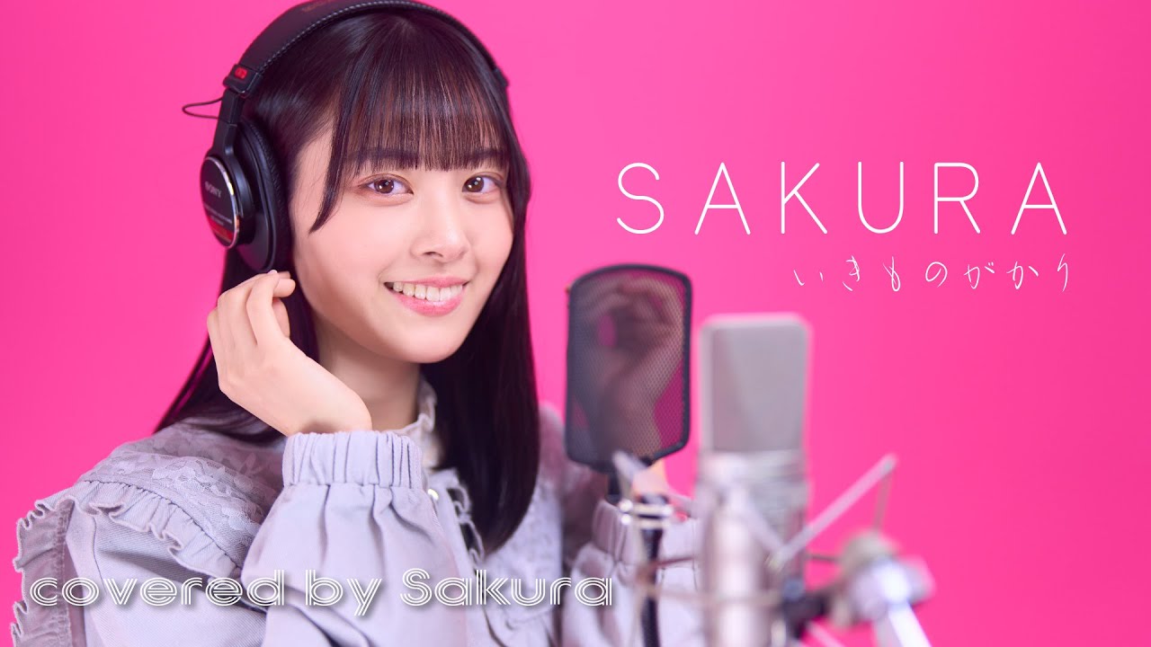 SAKURA / いきものがかり　covered by Sakura【50天】 (cover)