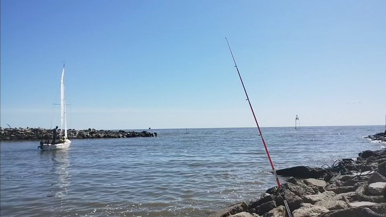 Pesca en el rio de Quilmes,cómo llegar y como está la pesca no te lo pierdas