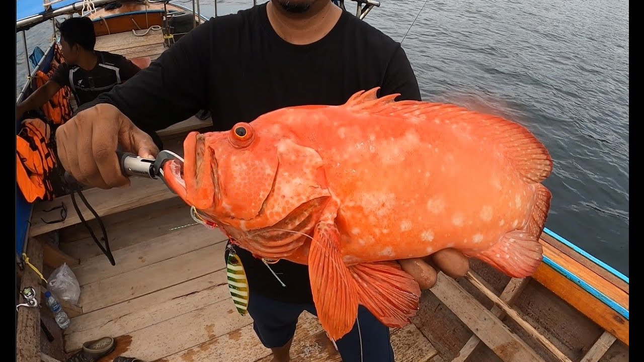 Koh Lipe fishing trip Dec 2019