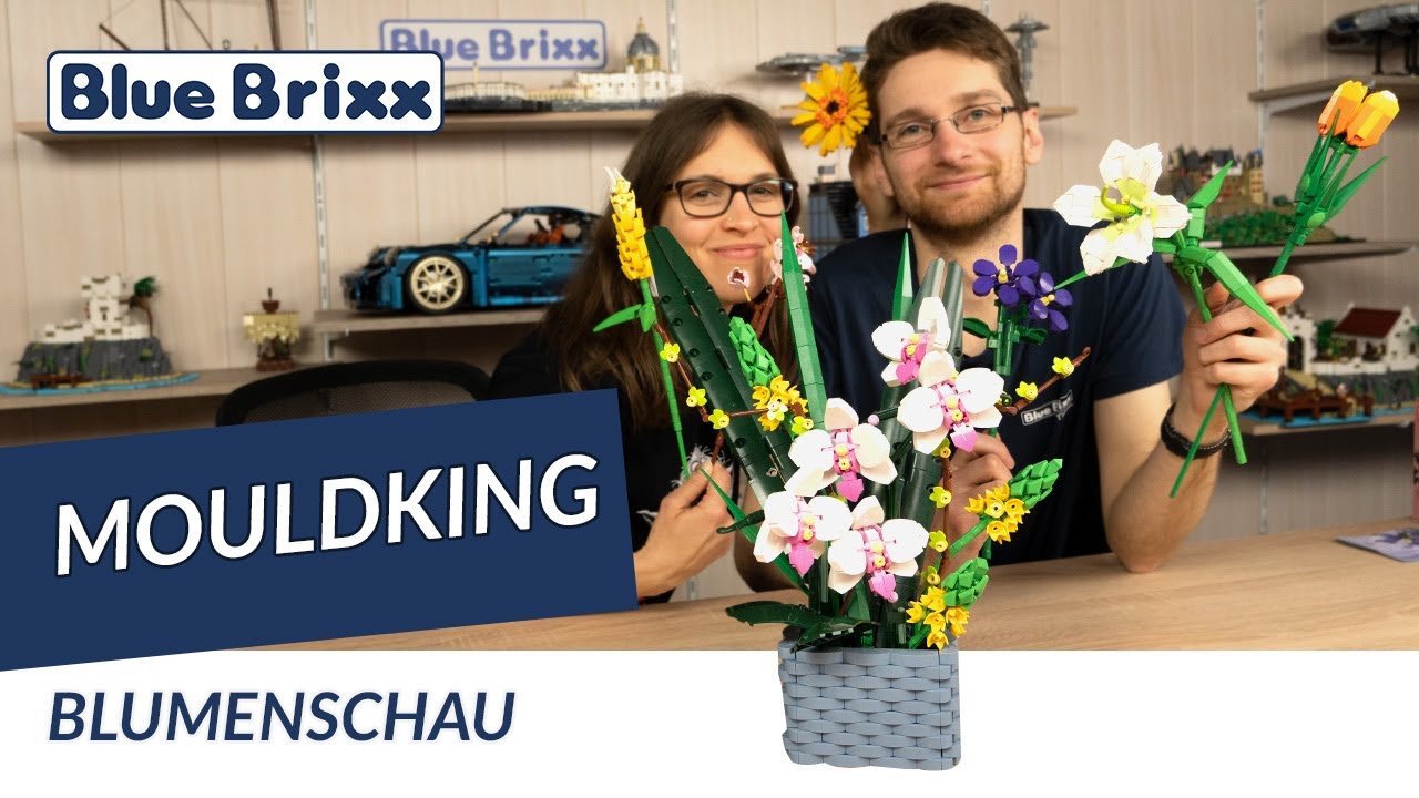 Nachtfalterorchidee auf Blumenschau mit Landnelke, Lilie, Kamelie, Gerbera, Narzisse uvm.