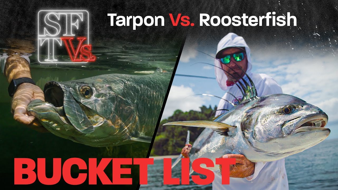 Bucket List: Tarpon vs. Roosterfish