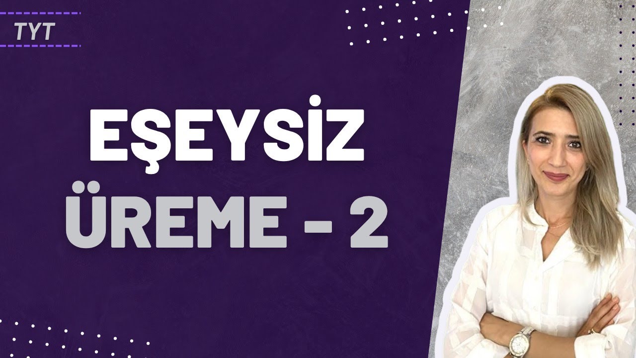 (31.Ders)  EŞEYSİZ ÜREME 2  | Seda Hoca Biyoloji 🧬