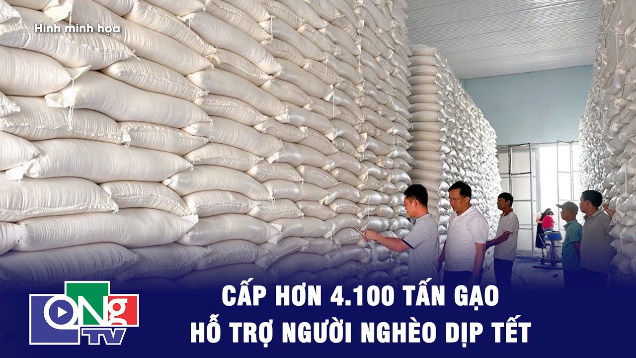 Cấp hơn 4.100 tấn gạo hỗ trợ người nghèo dịp Tết | QNgTV