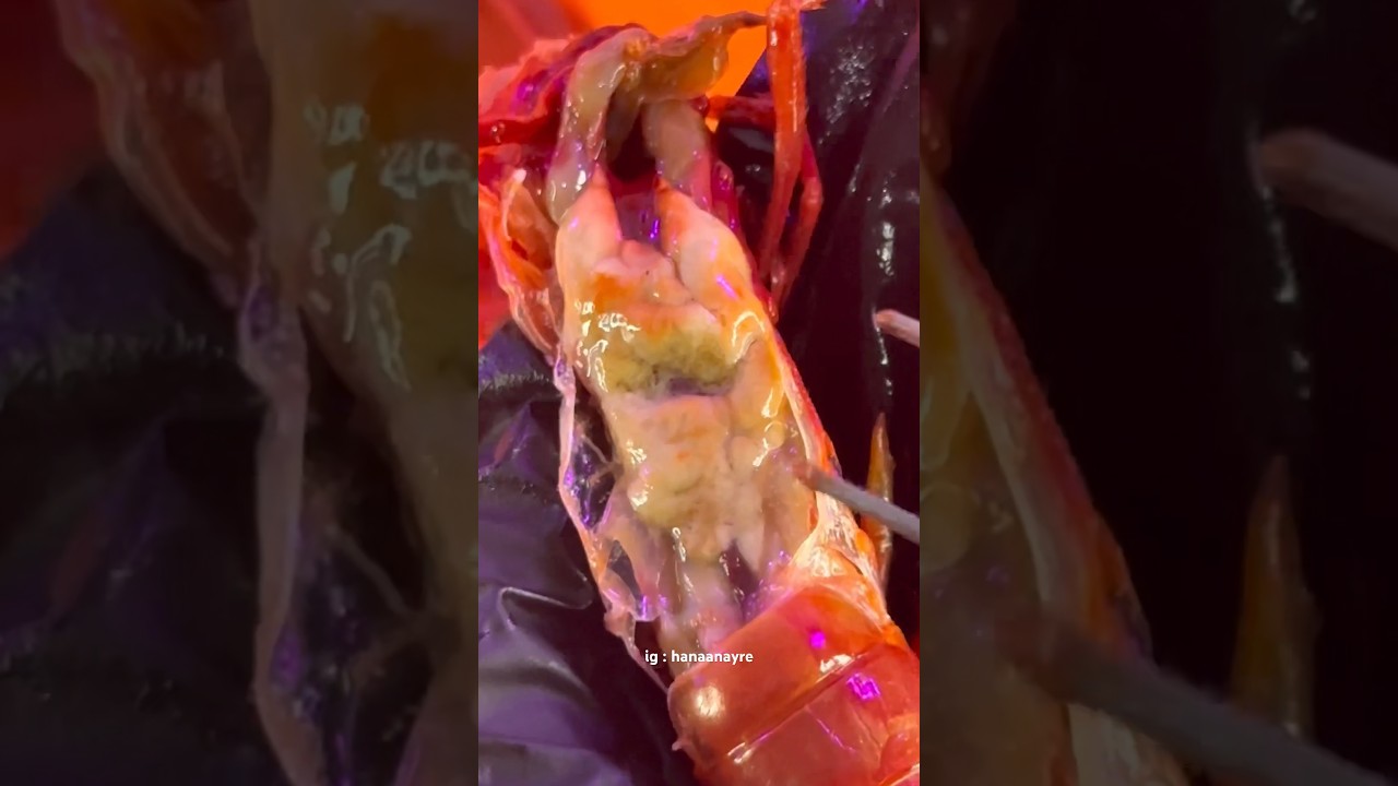 Misteri otak udang terpecahkan 🤨 #udang #shrimp #carabineros #cardinalprawn #brain