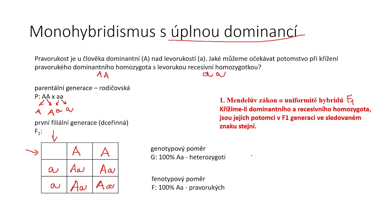 Genetika mnohobuněčných II - monohybridismus s úplnou dominancí