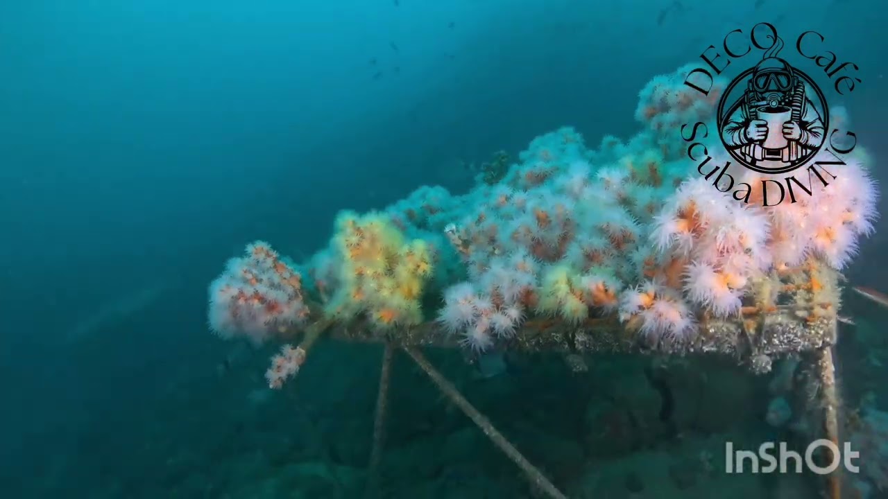 54m deep dive in Spain