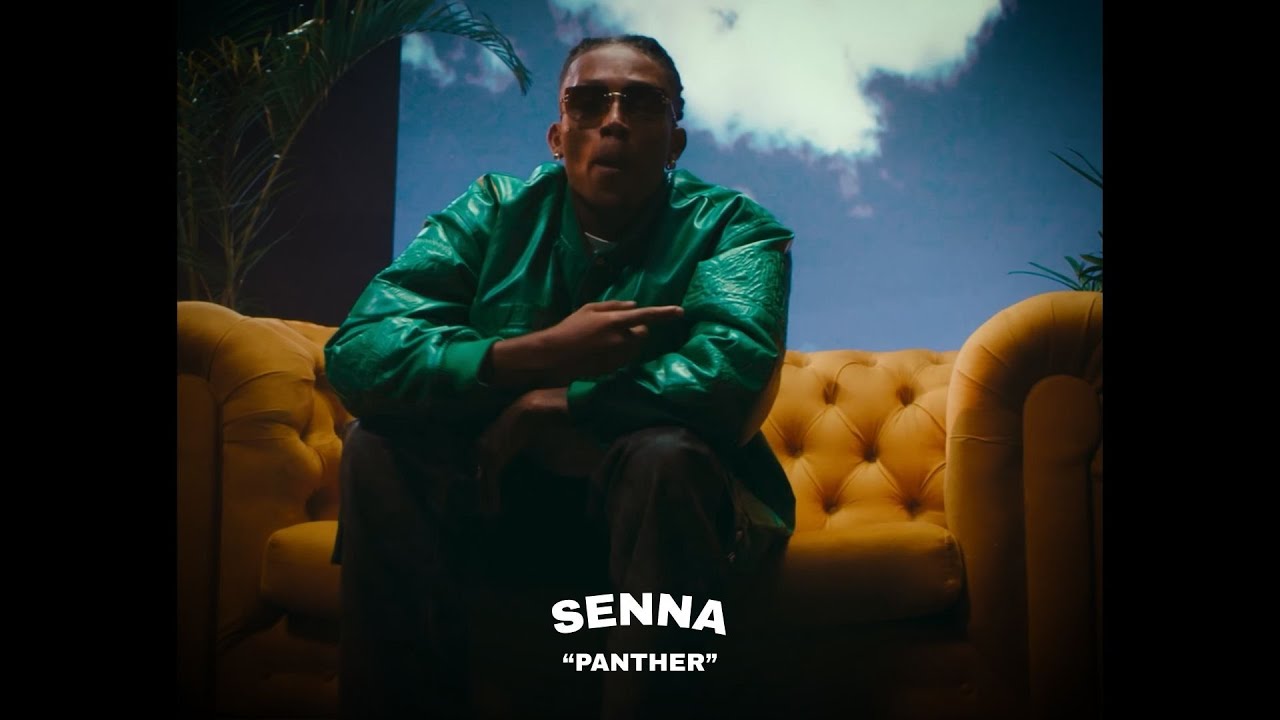 (FREE) Alee x Leviano x Brandão85 Type Beat - Panther
