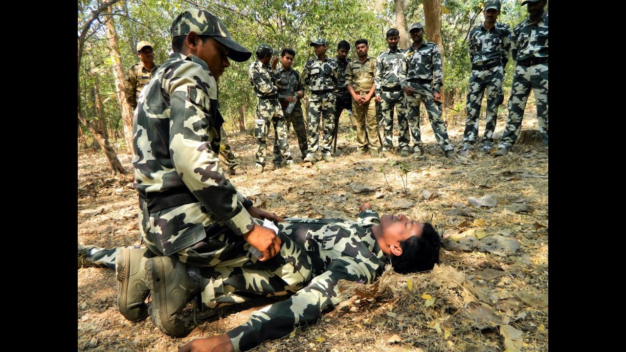 How We Strengthen Wildlife Protection Through Training