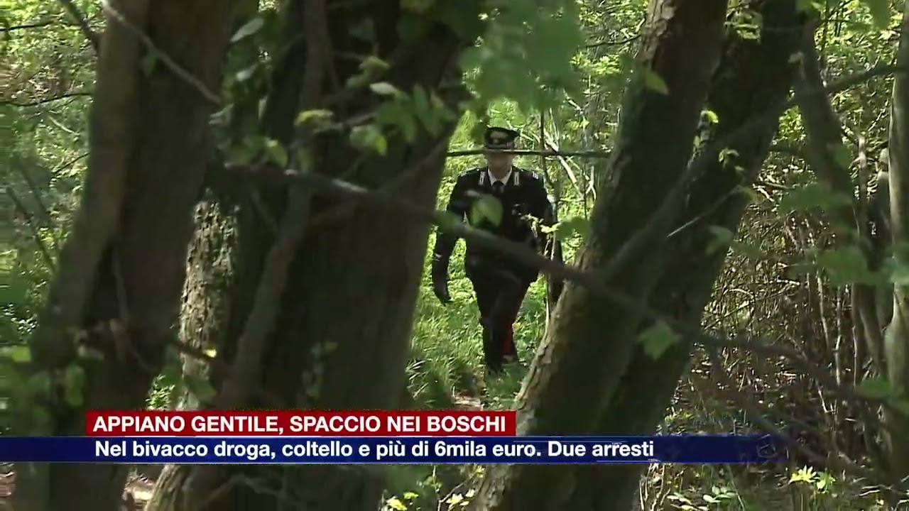 Etg - Appiano Gentile: nel bivacco tra i boschi droga, coltello e contanti. Due arresti