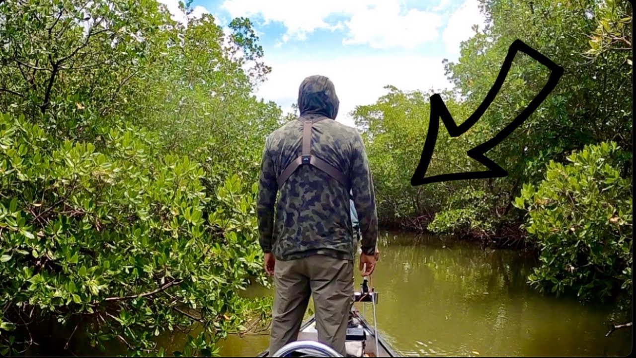 GROUPER Fishing Mangrove Creeks! (Everglades Fishing)