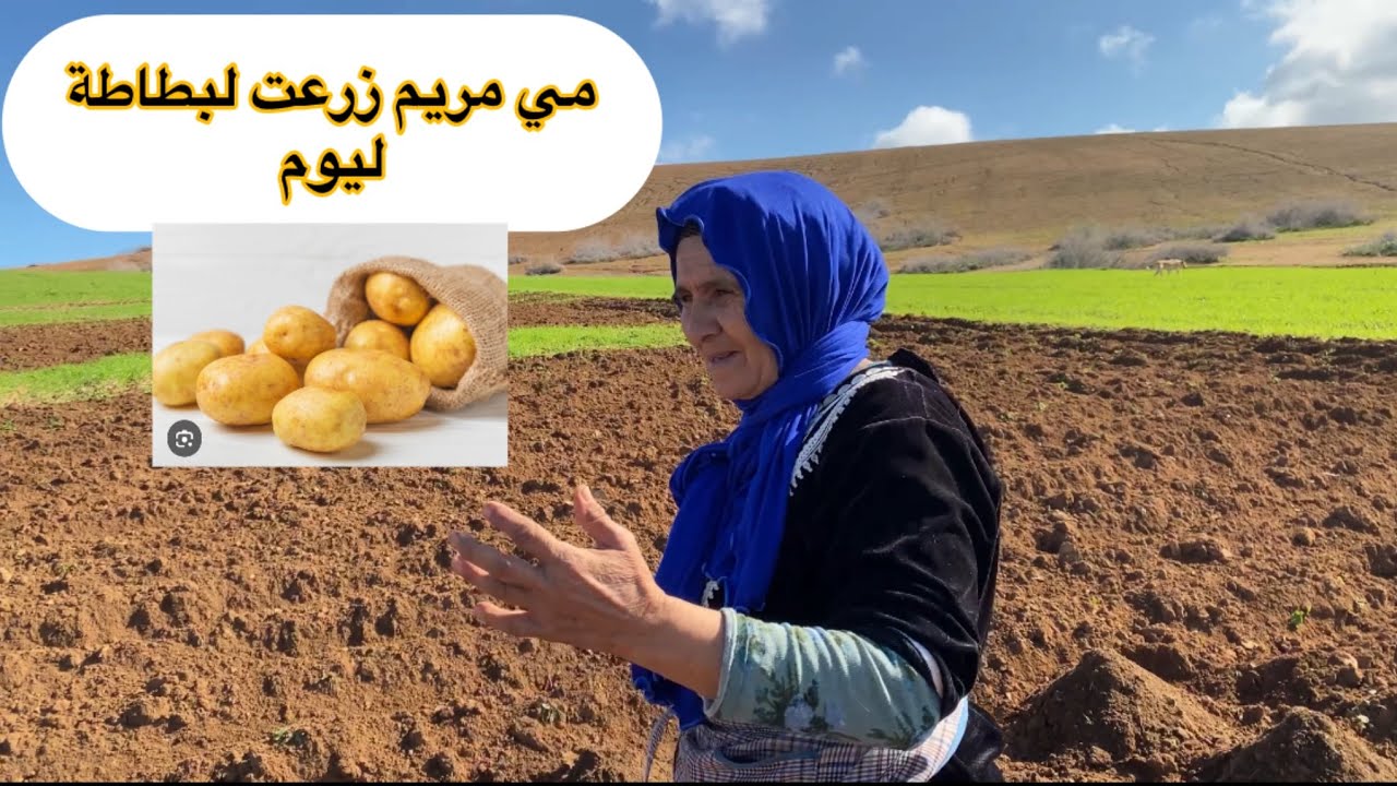 مي مريم زرعت لبطاطة ليوم وناشطة مع وليداتها