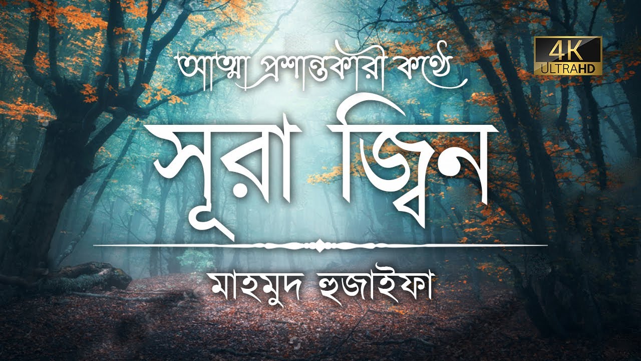 সূরা জিন এর অন্তর তৃপ্তকারী তিলাওয়াত ┇ Recited by Mahmud Huzaifa ┇ An Nafee ┇ আন নাফী