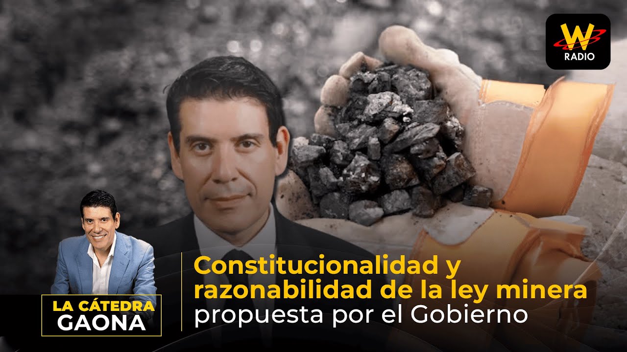 Constitucionalidad y razonabilidad de la ley minera propuesta por el Gobierno | Cátedra Gaona