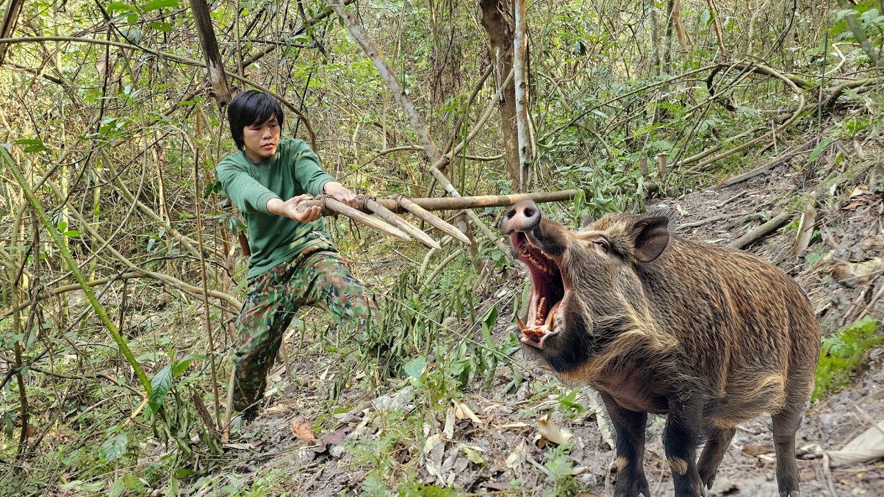 traces of wild chicken, trapping, trap, catching wild chicken, green forest life, survival alone