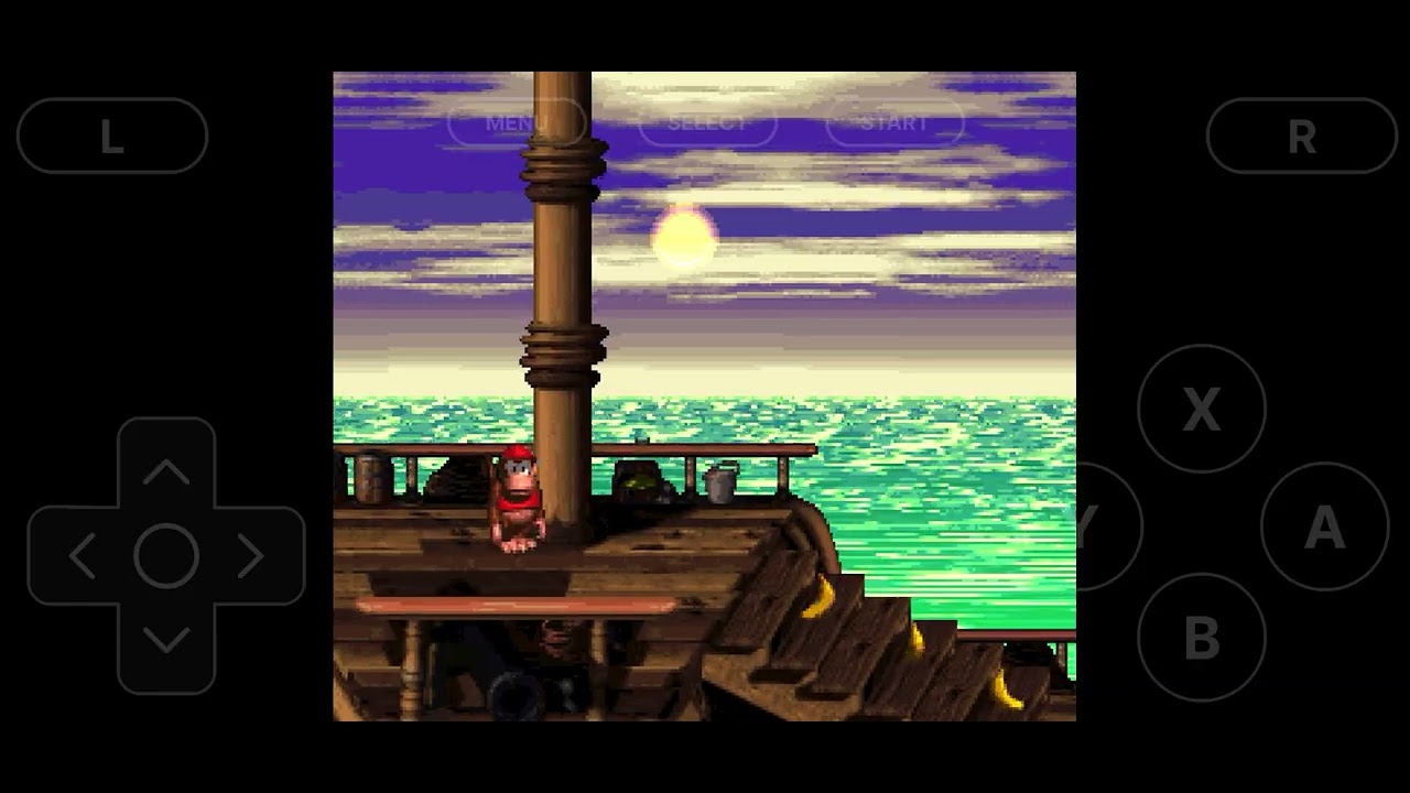 donkey kong