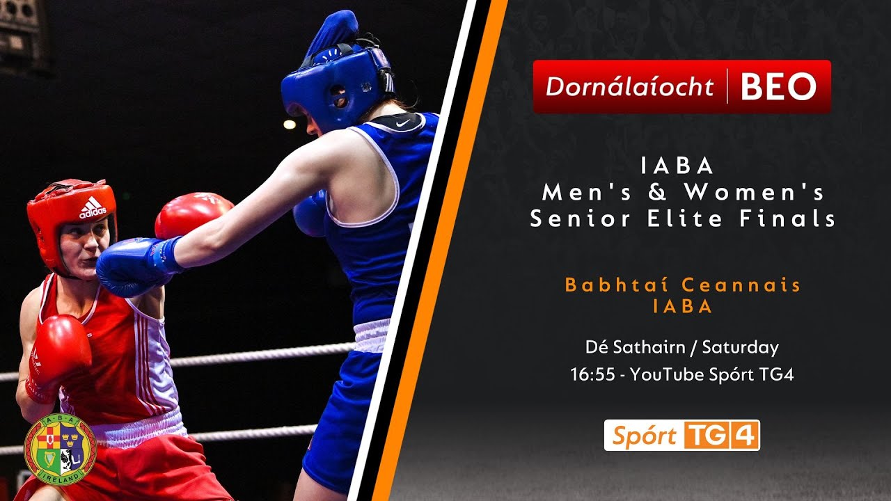 Dornálaíocht BEO | IABA National Elite Boxing Championship Finals | 11/11/23