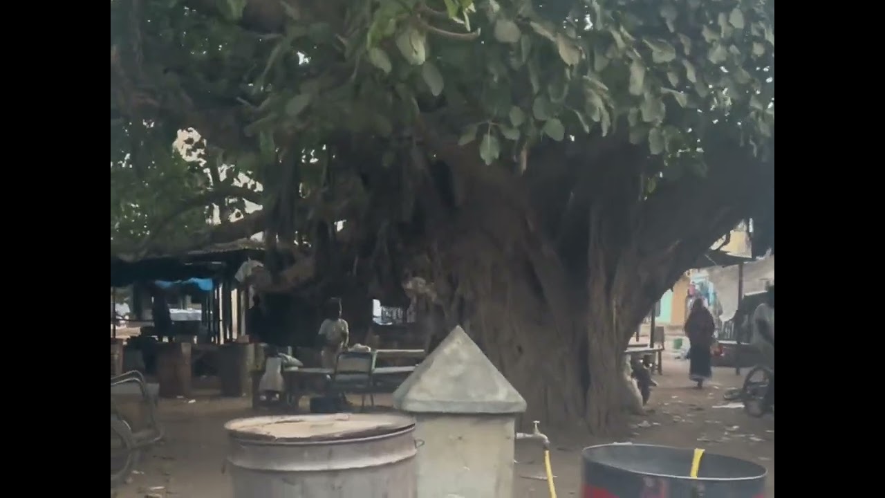 Lambidou Soma Niakate