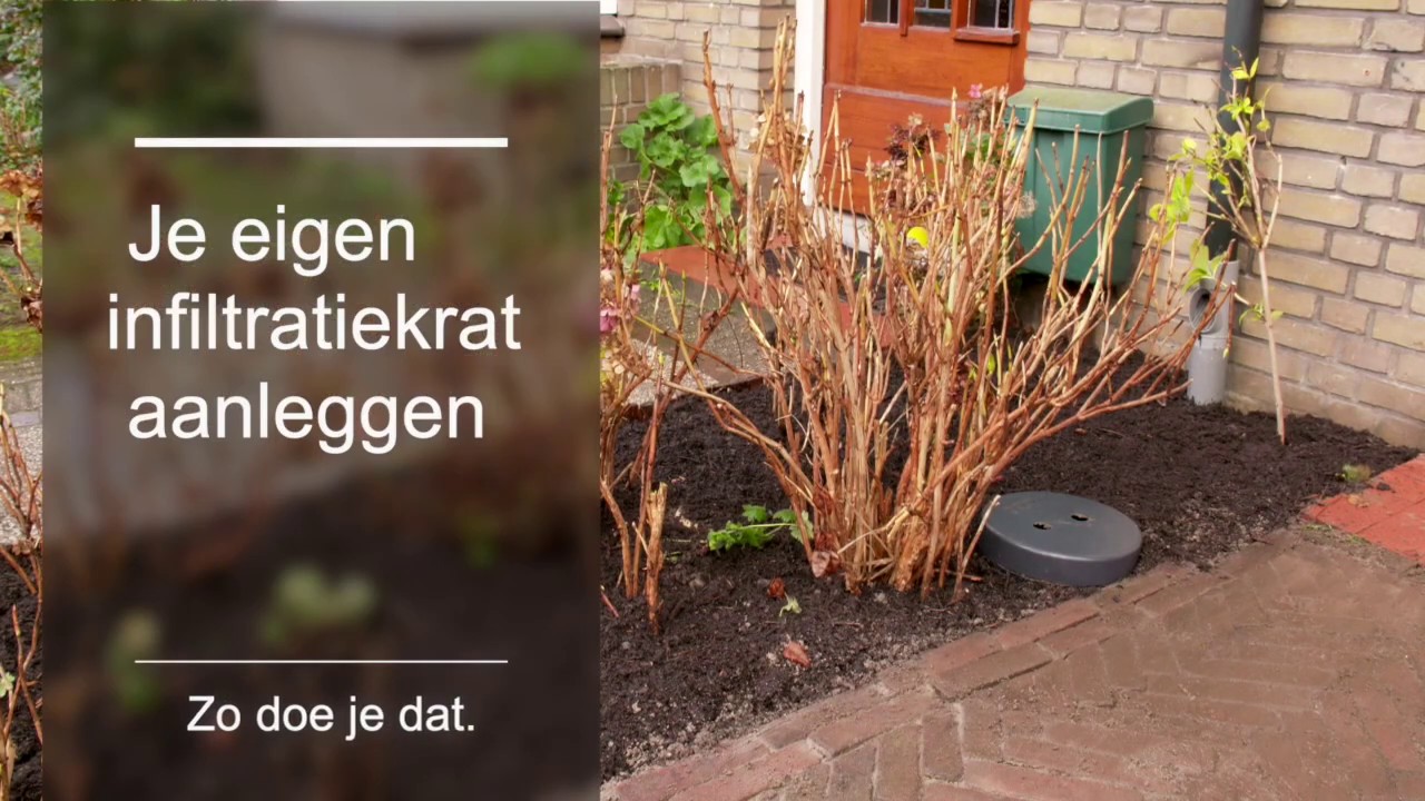 Je eigen infiltratiekrat aanleggen - Zo doe je dat