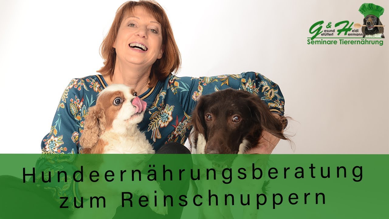 Hundeernährungsberatung zum Reinschnuppern