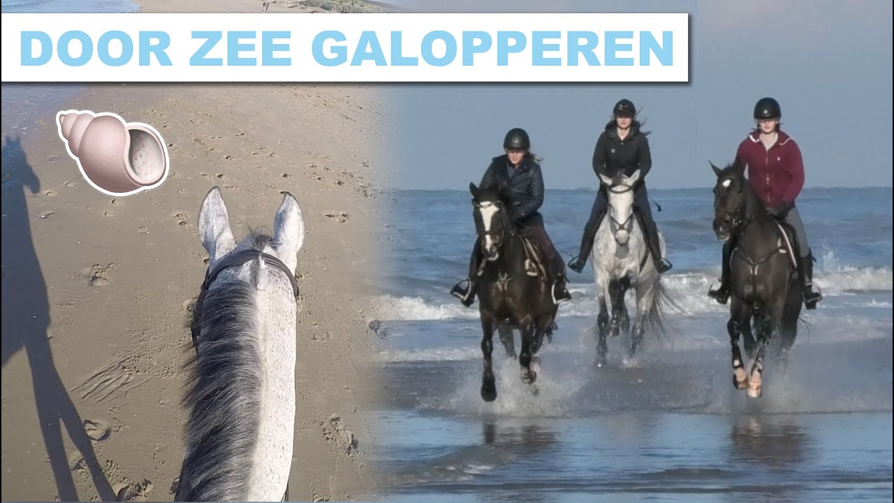 Voor EERSTE KEER naar het STRAND met Indu + GoPro! - #114 Romy van der Linden