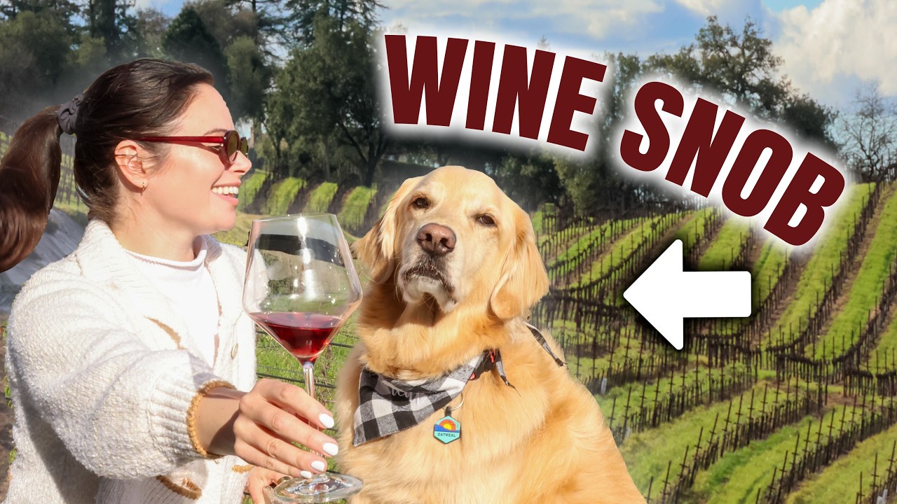 dog-friendly wine tasting in sonoma county (MacRostie Winery vlog)