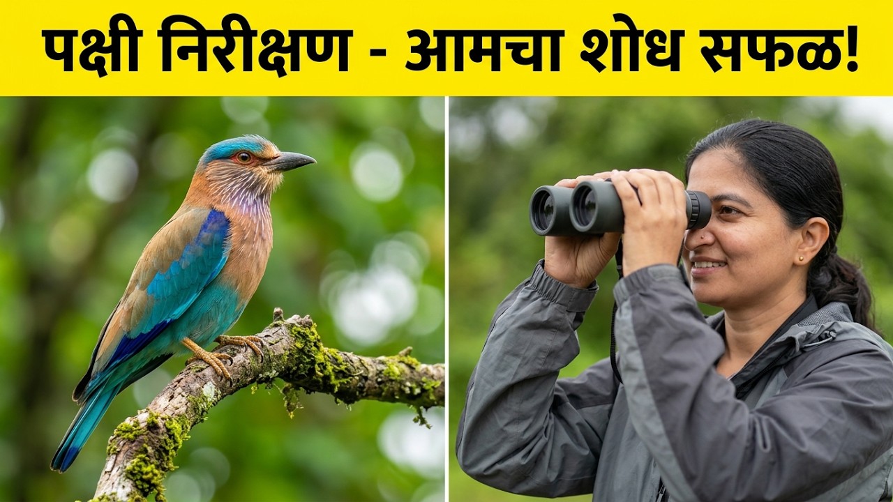 One day spot for #birdwatching   | #nearmumbai   | #vlog 367