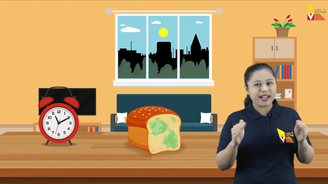Introduction to food chemistry