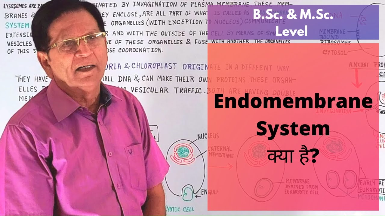 Endomembrane System || B.Sc. & M.Sc. Level