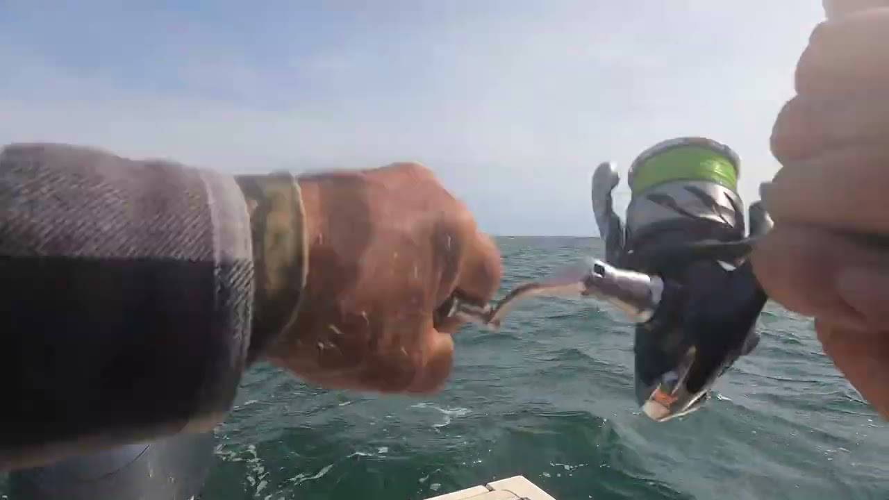 Blackfishing 3 Limits with someJumbos