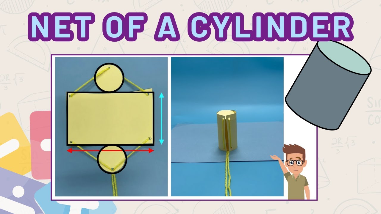 Net of a Cylinder