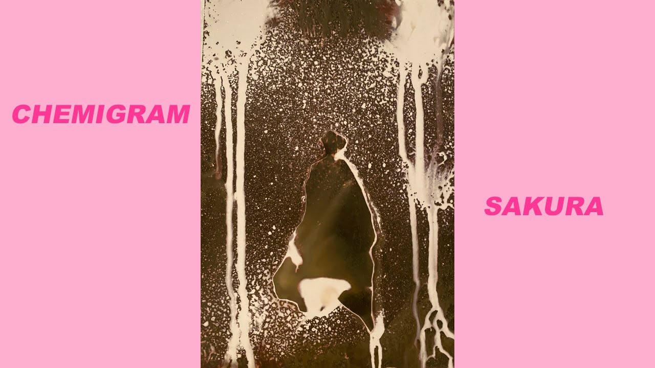 Chemigrama - Sakura