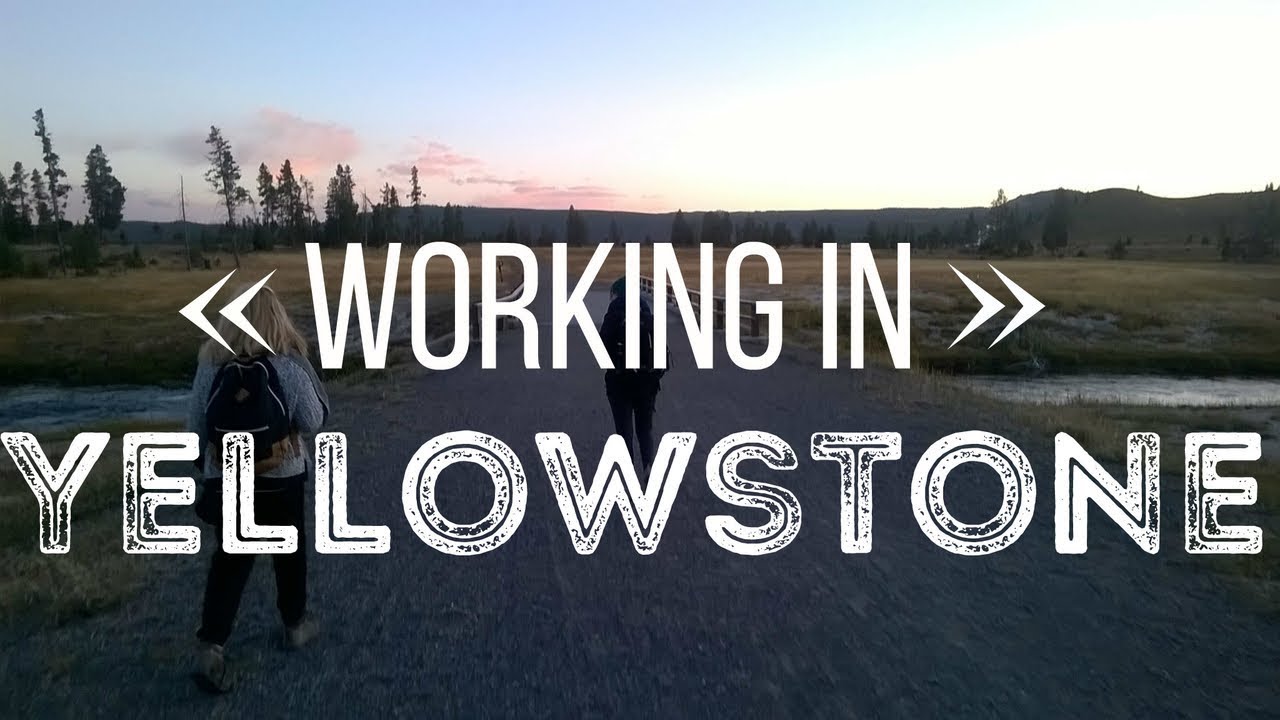 WORKING IN YELLOWSTONE | Canyon Village