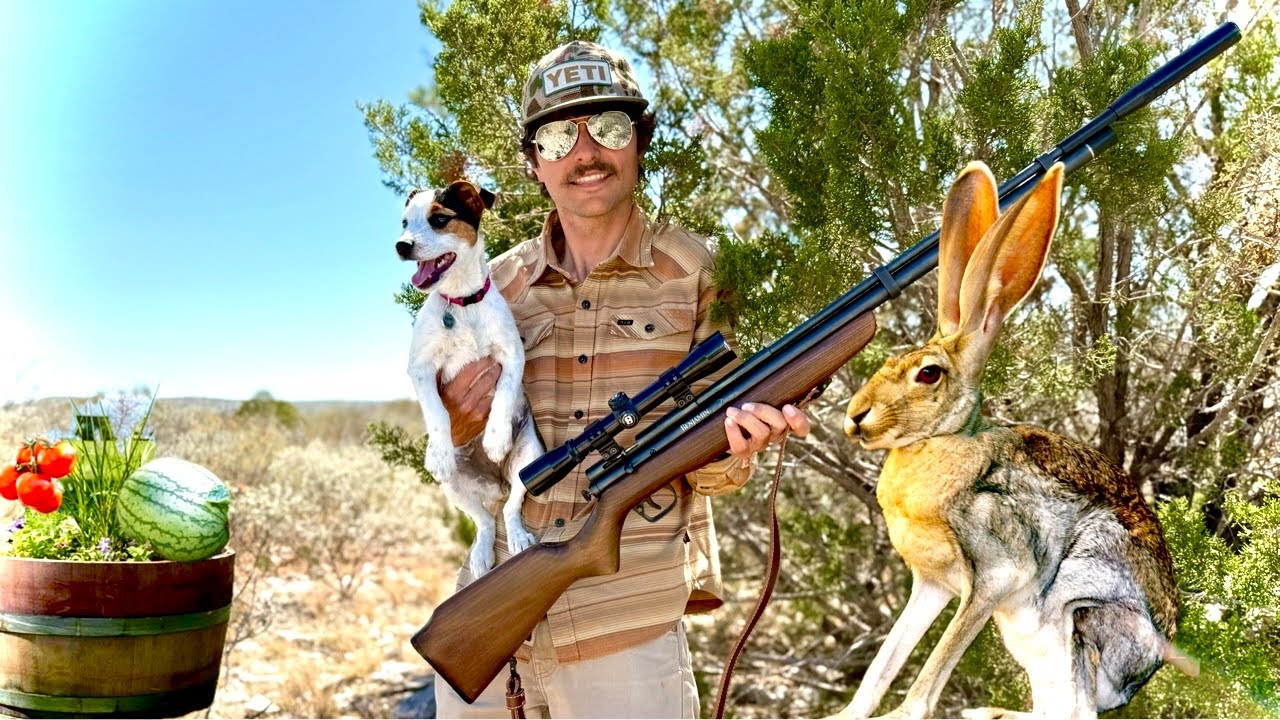 Defending My Garden From GIANT Jackrabbits - Classic Pelletgun