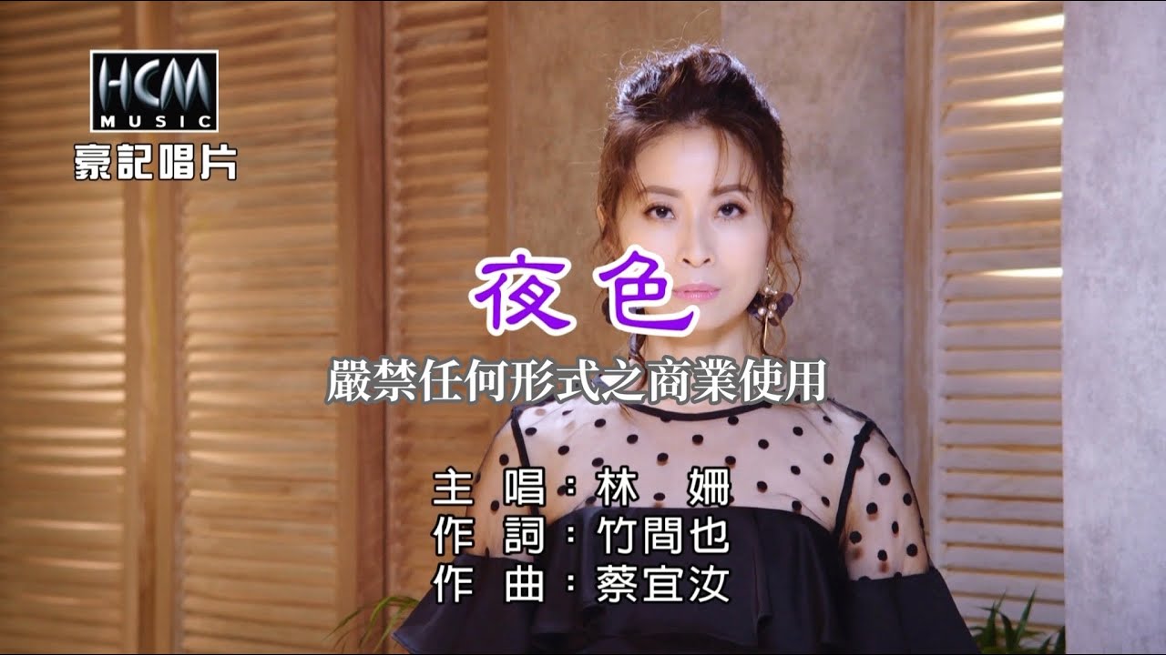林姍-夜色【KTV導唱字幕】1080p HD