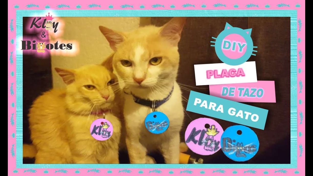 PLACA DE IDENTIFICACIÓN DE TAZO PARA GATO