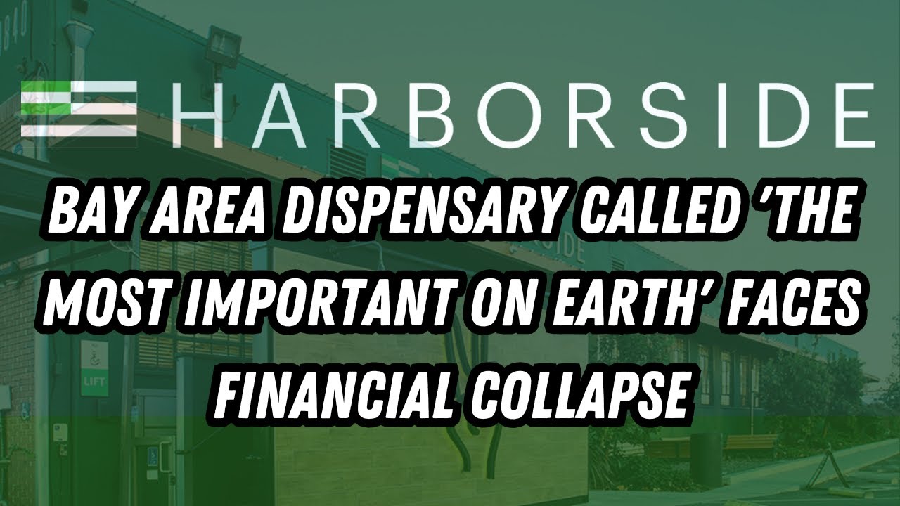 Bay Area dispensary called 'the most important on Earth' faces financial collapse