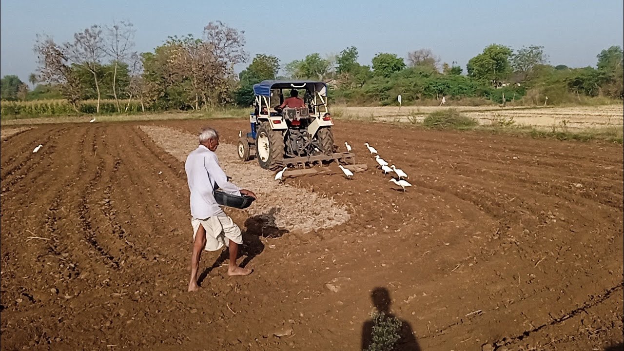 ખેતરમાં ખેડતા કૂતરો આગળ આવી ગયો khetarma mangne wali tar Swaraj Tractor
