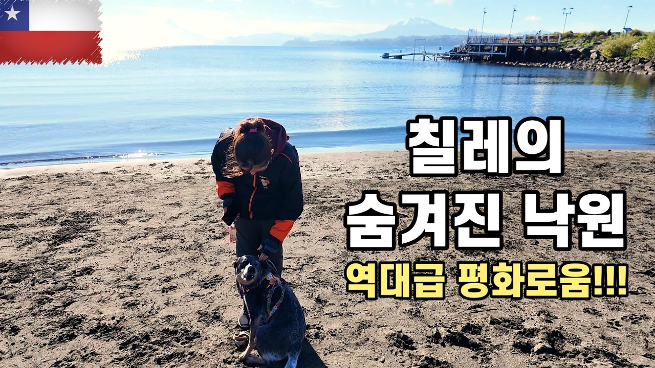 현장 결제 금지! 칠레 버스표 가장 저렴하게 사는 방법 - 푸에르토바라스 [228]
