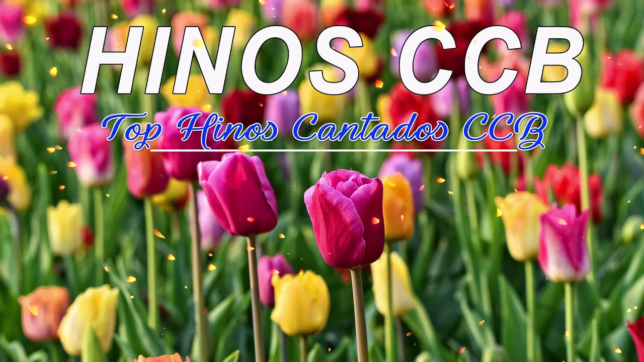 BELOS HINOS CCB 🌹 Hin&aacute;rio 5 🌷 Top Hinos Cantados CCB