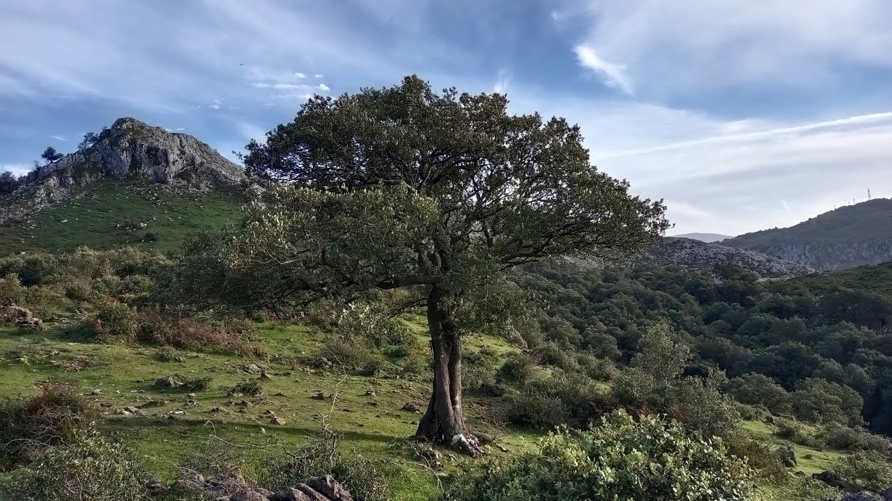 Cantabria 1/A