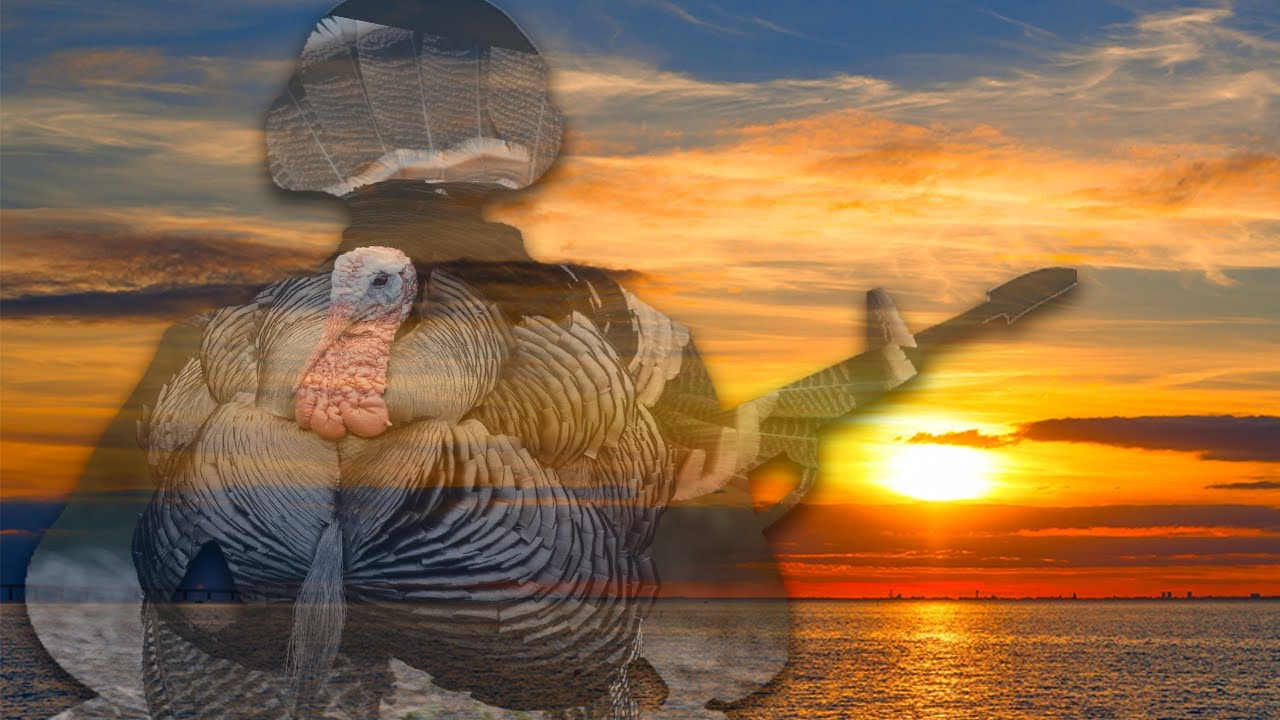 Day of the Turkey: 2025