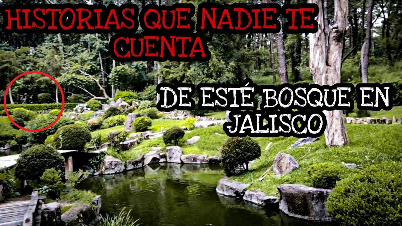 En este BOSQUE han sucedido HECHOS INEXPLICABLES. Bosque los COLOMOS. LO QUE NO SABÍAS. #historia