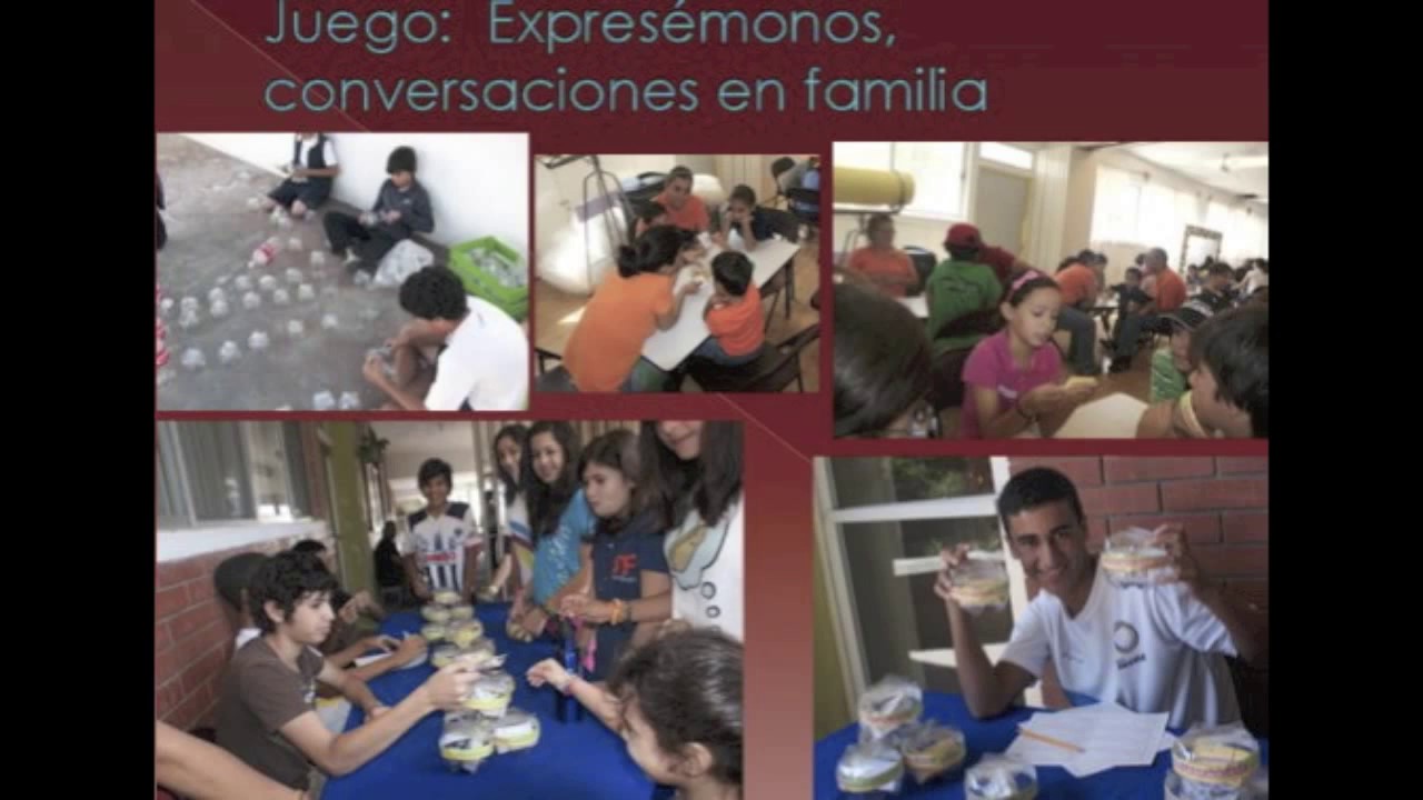 Ejemplos de Proyectos Destacados 2010