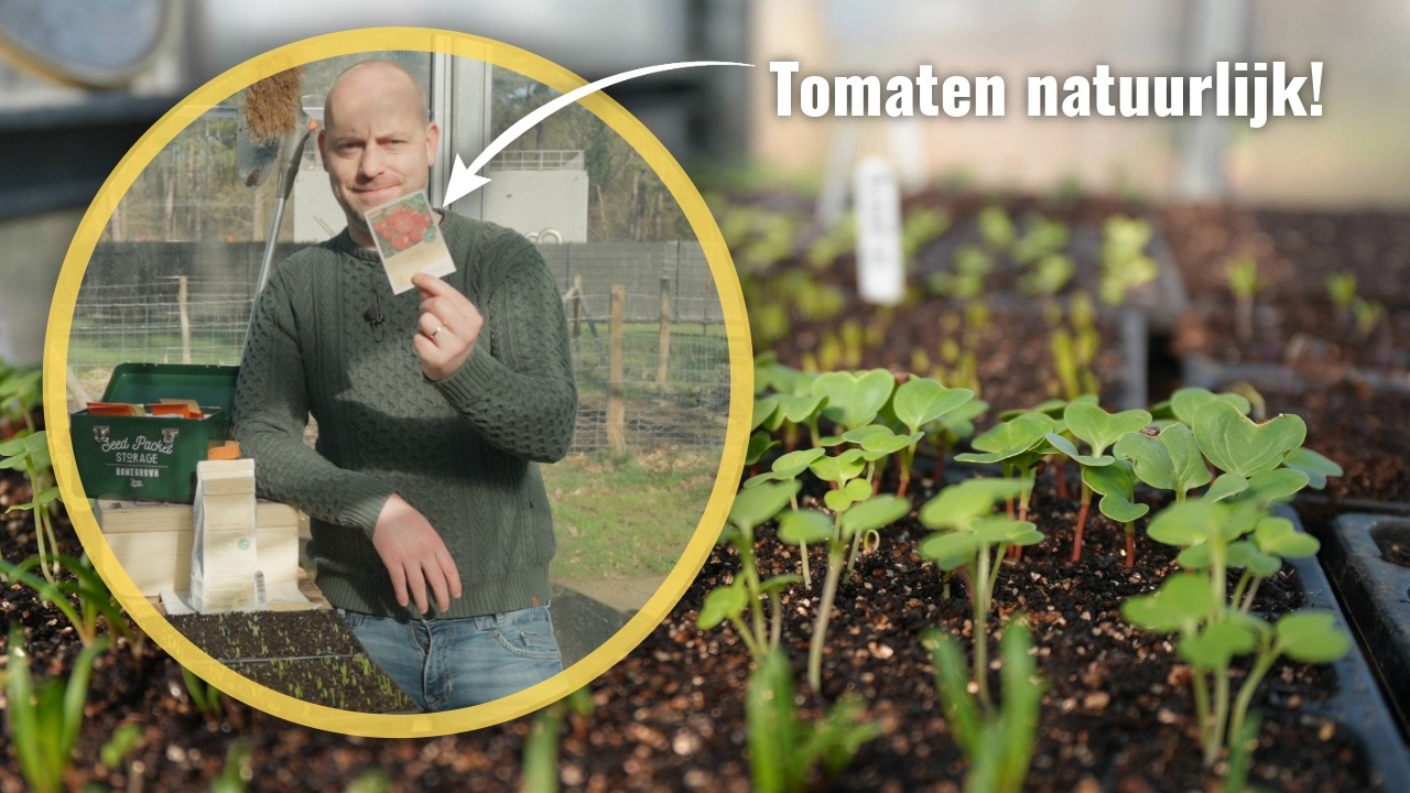 Wat kan je zaaien in MAART?
